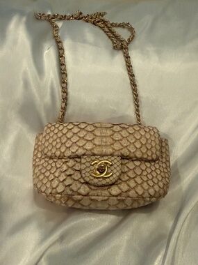 Chanel Python mini flap bag